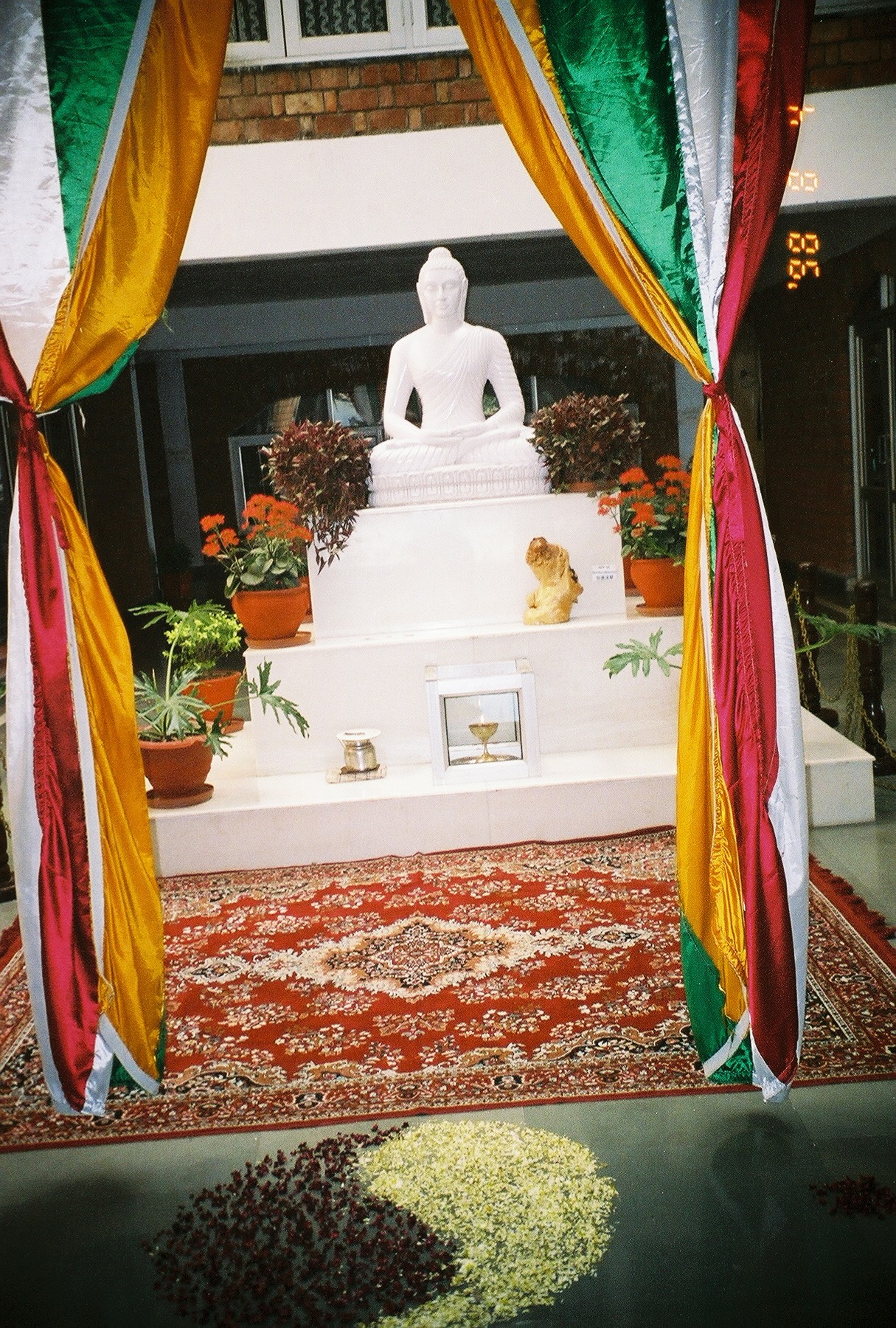 buddha.jpg