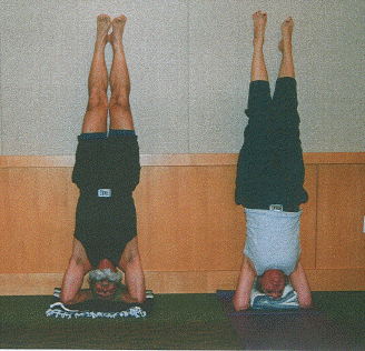 scan4headstand.gif
