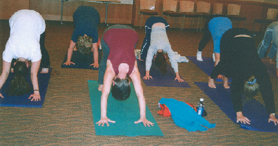 scan8class.gif